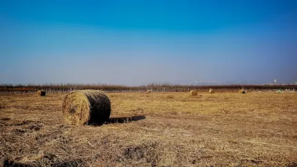 Slot Shack Casino Mobile App